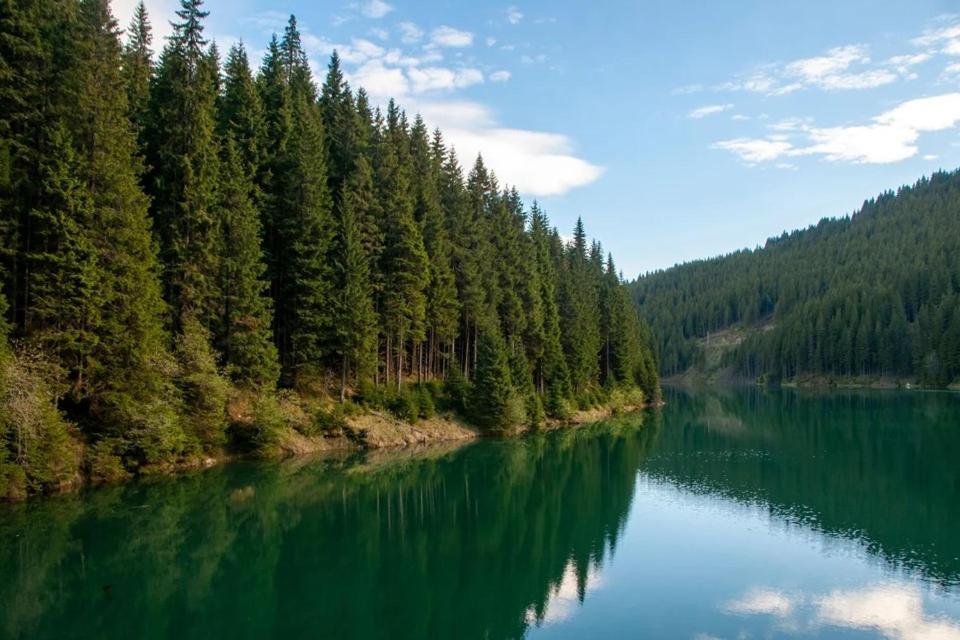Camping Aviator, Numai Teren, Campare Pentru Rulote Autorulote Personale, Campingul Nu Are Rulote !!! Буштени Экстерьер фото
